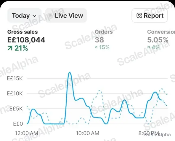 Brand A Shopify dashboard: EGP 108,044 gross sales in one day at 5.05% conversion