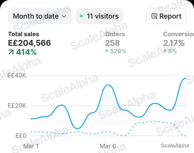 Shopify dashboard for Brand C showing EGP 204,566 total sales, 258 orders and 2.17% conversion month to date